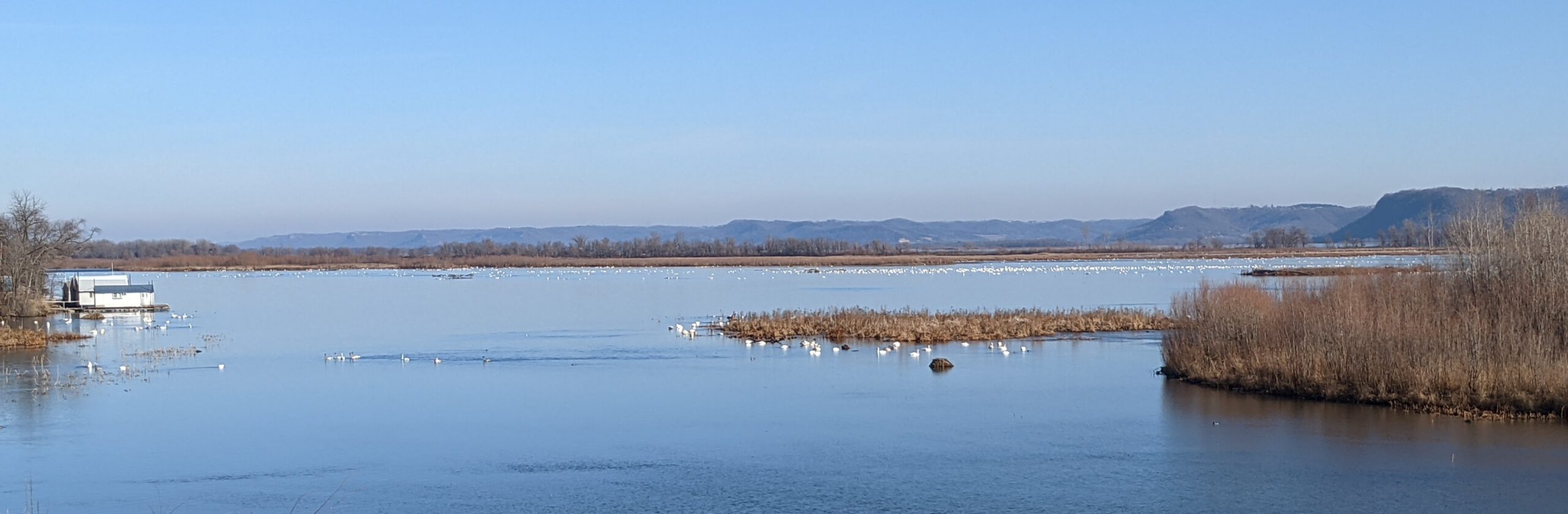 My Walkabout: Winter 2021